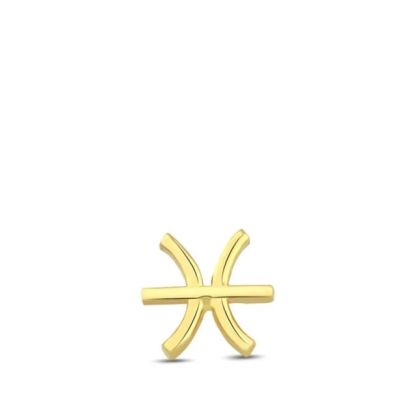 Piercing Zodiac Pești 