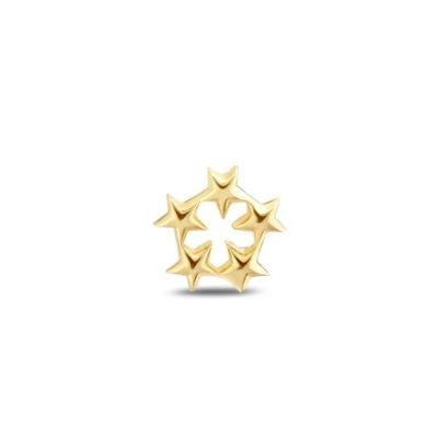 Piercing de aur 5 stele